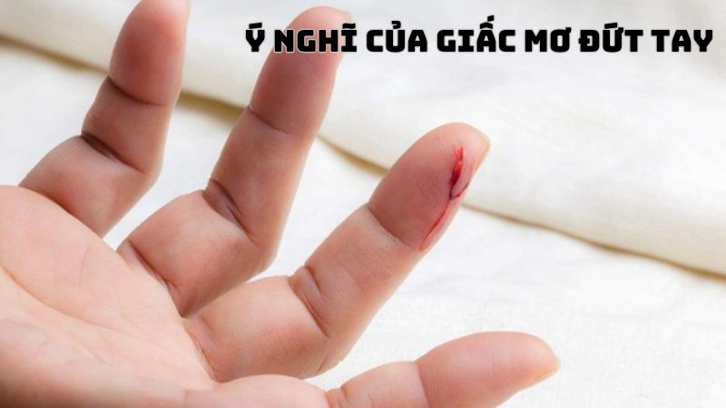 Mơ thấy Bị đứt tay chảy máu đánh con gì 