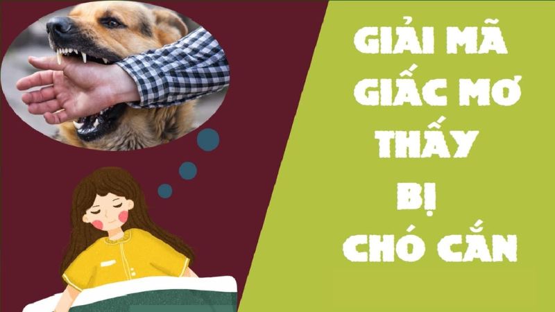 thông điệp chó cắn đánh con gì 