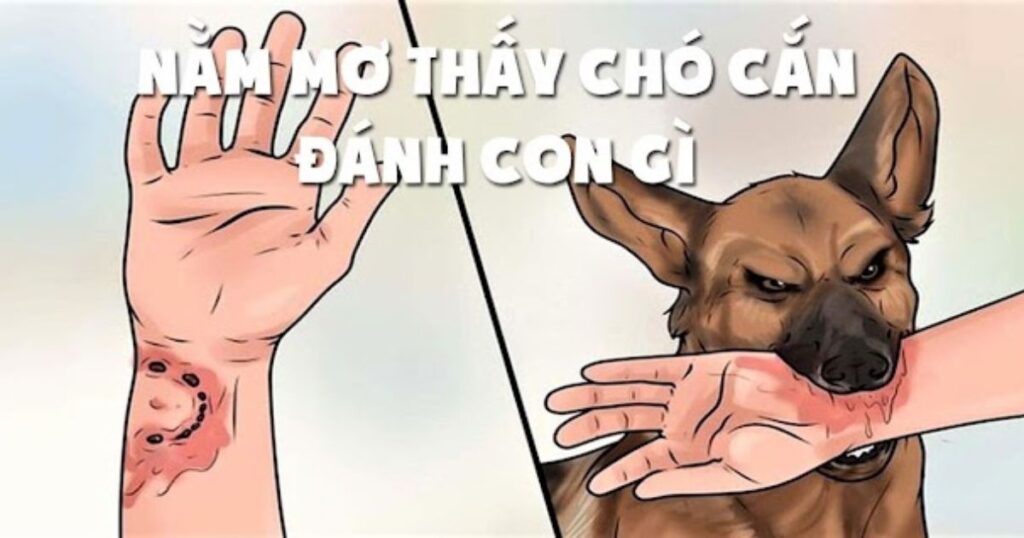 chó cắn đánh con gì