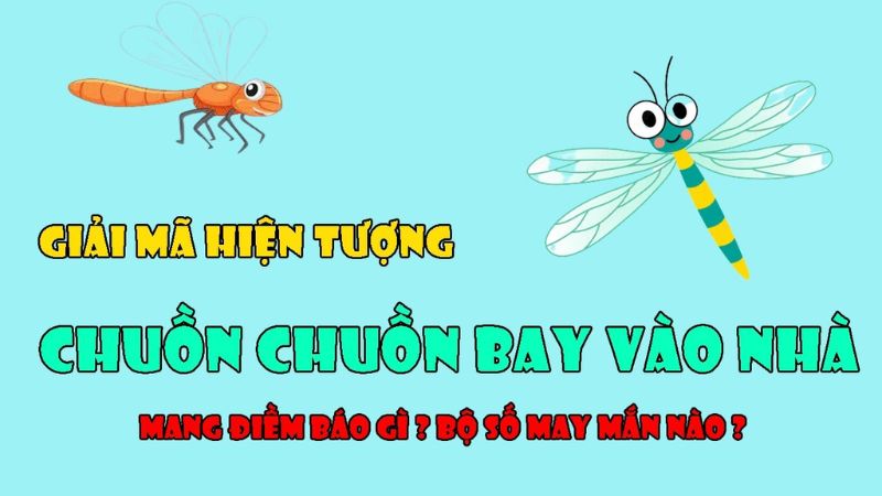 Gợi mở chuồn chuồn bay vào nhà đánh con gì?