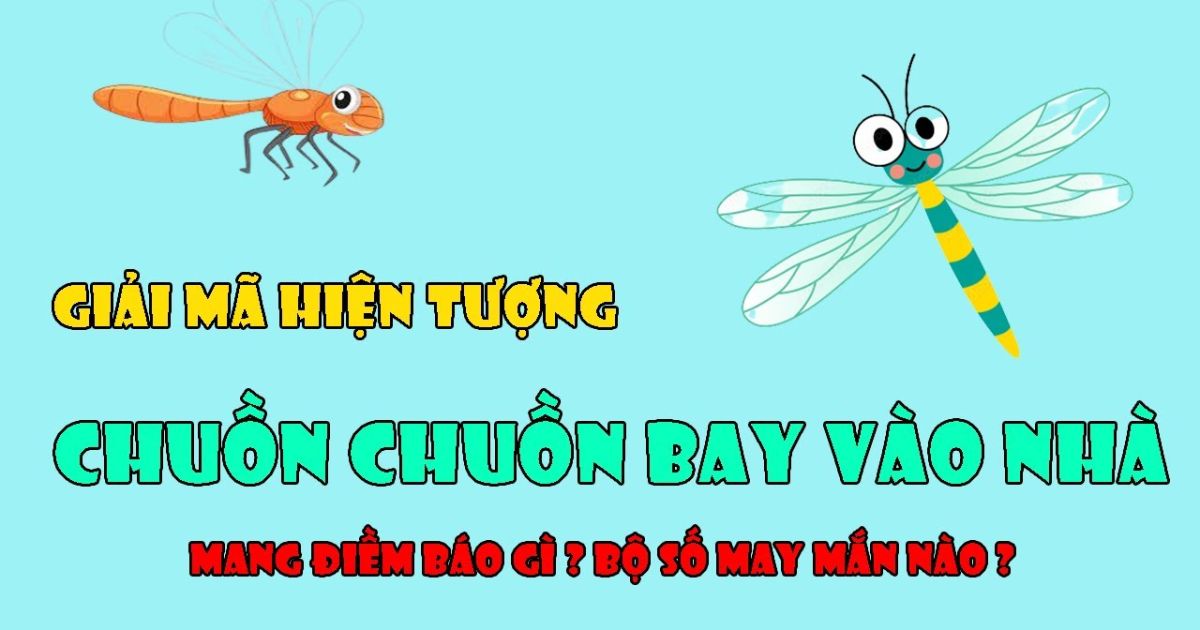 Gợi mở chuồn chuồn bay vào nhà đánh con gì?