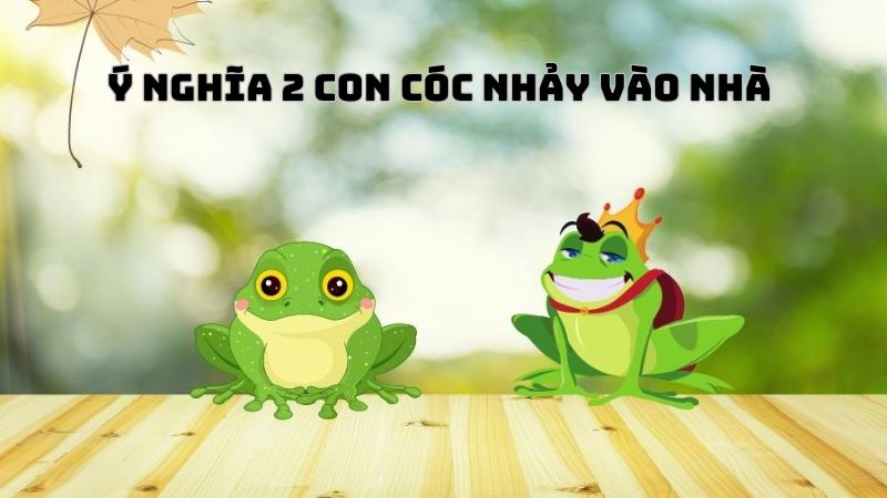 ý nghĩa con cóc vào nhà đánh số mấy