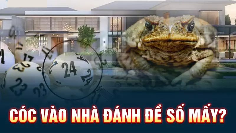 ý nghĩa con cóc vào nhà đánh số mấy